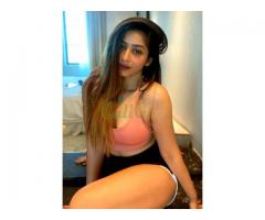 Call Girls In Noida Sector,117- | 9667720917 | Escorts Service In Delhi Ncr,24Hrs