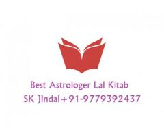 Best astrologer Lal Kitab Vedic+91-9779392437